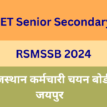 CET Senior Secondary RSMSSB 2024